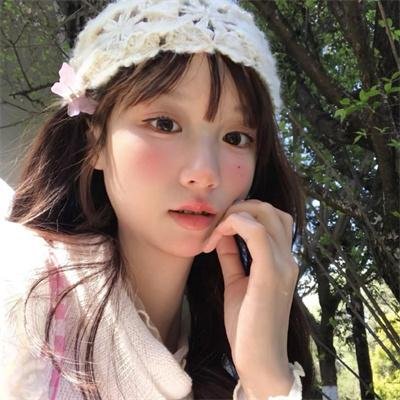 狮子护卫队第一季